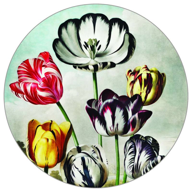 Fototapeta Okrągła Malowane Tulipany – Artystyczna Florystyka i Wiosenna Świeżość