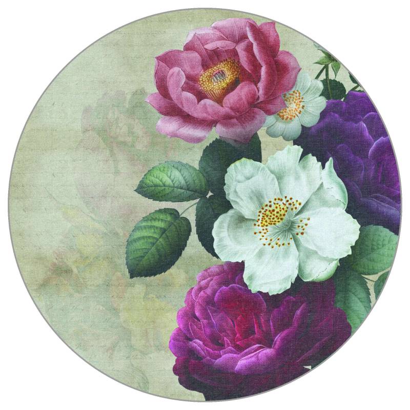 Fototapeta Okrągła Rycina Botaniczna Vintage V – Klasyczna Botanika i Styl Retro