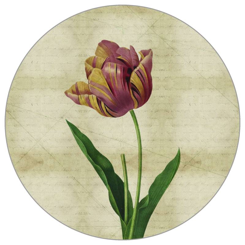 Fototapeta Okrągła Rycina Botaniczna Vintage IV – Klasyczna Botanika i Styl Retro