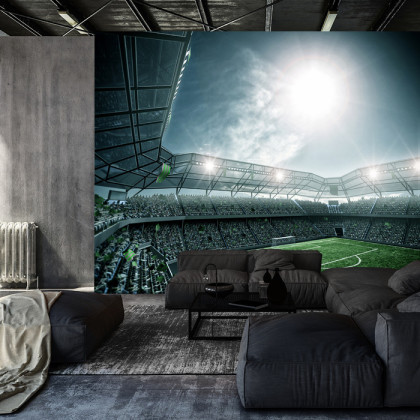 Fototapeta Stadion Piłka Nożna