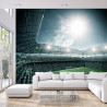 Fototapeta Stadion Piłka Nożna