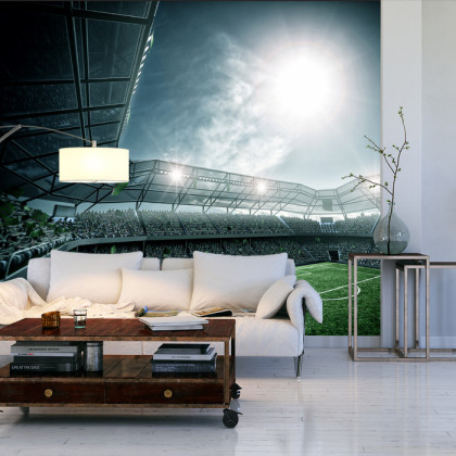 Fototapeta Stadion Piłka Nożna