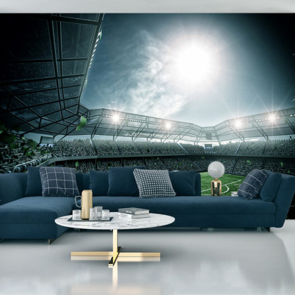 Fototapeta Stadion Piłka Nożna