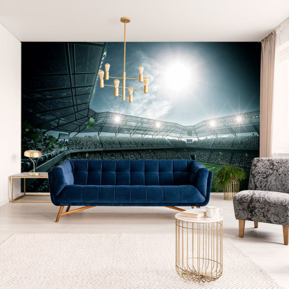 Fototapeta Stadion Piłka Nożna