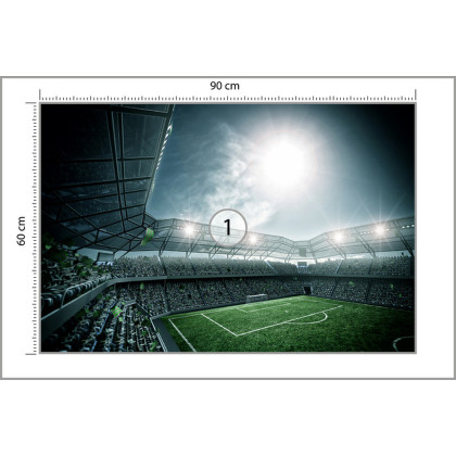 Fototapeta Stadion Piłka Nożna