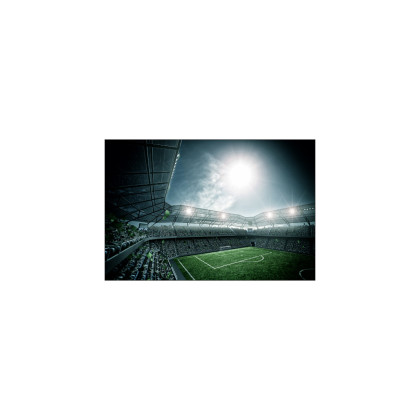Fototapeta Stadion Piłka Nożna