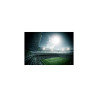 Fototapeta Stadion Piłka Nożna