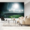 Fototapeta Stadion Piłka Nożna