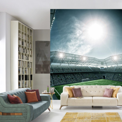 Fototapeta Stadion Piłka Nożna