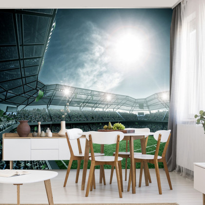 Fototapeta Stadion Piłka Nożna