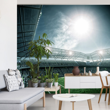 Fototapeta Stadion Piłka Nożna