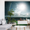 Fototapeta Stadion Piłka Nożna