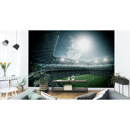 Fototapeta Stadion Piłka Nożna