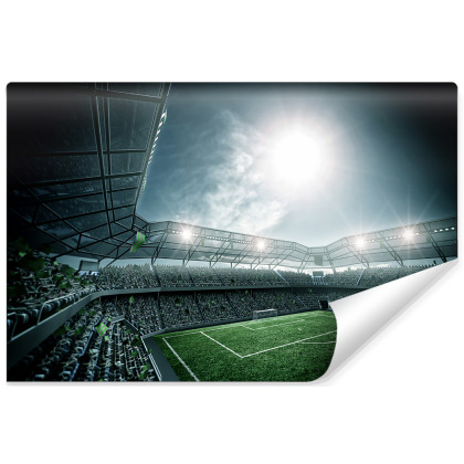 Fototapeta Stadion Piłka Nożna