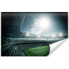 Fototapeta Stadion Piłka Nożna
