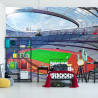 Fototapeta Stadion Piłka Nożna