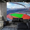 Fototapeta Stadion Piłka Nożna