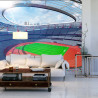 Fototapeta Stadion Piłka Nożna