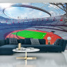 Fototapeta Stadion Piłka Nożna
