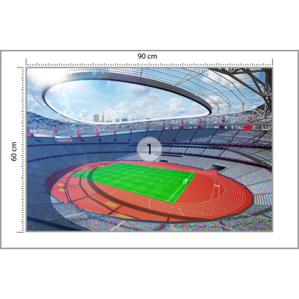 Fototapeta Stadion Piłka Nożna