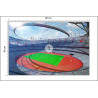 Fototapeta Stadion Piłka Nożna