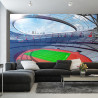 Fototapeta Stadion Piłka Nożna