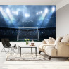 Fototapeta Stadion Piłkarski Boisko