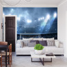 Fototapeta Stadion Piłkarski Boisko