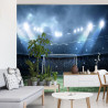 Fototapeta Stadion Piłkarski Boisko