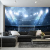 Fototapeta Stadion Piłkarski Boisko