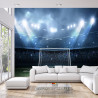 Fototapeta Stadion Piłkarski Boisko