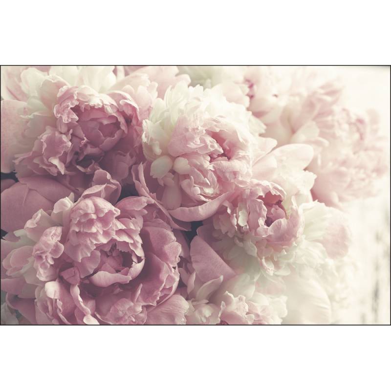 Fototapeta Kwitnące Peonie