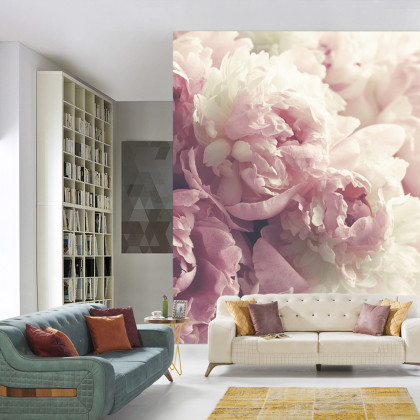Fototapeta Kwitnące Peonie
