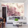 Fototapeta Kwitnące Peonie
