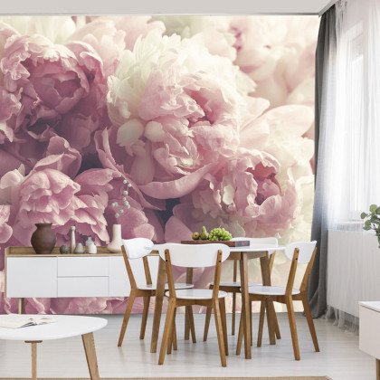 Fototapeta Kwitnące Peonie