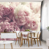 Fototapeta Kwitnące Peonie