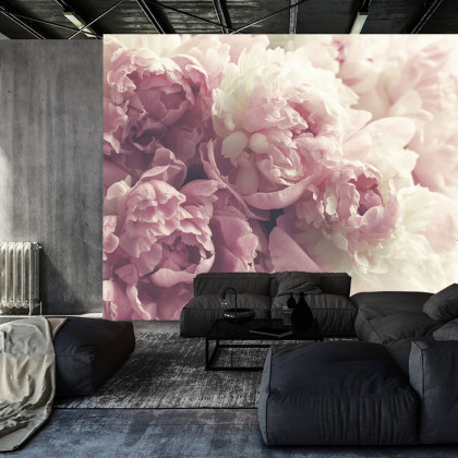 Fototapeta Kwitnące Peonie