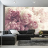Fototapeta Kwitnące Peonie