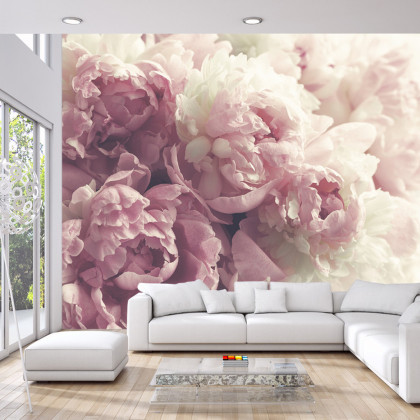 Fototapeta Kwitnące Peonie