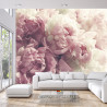 Fototapeta Kwitnące Peonie