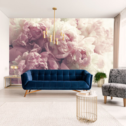 Fototapeta Kwitnące Peonie