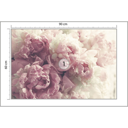 Fototapeta Kwitnące Peonie