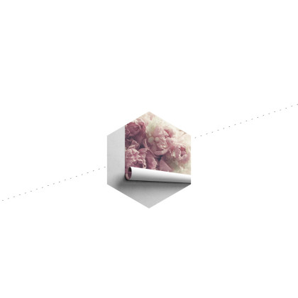 Fototapeta Kwitnące Peonie