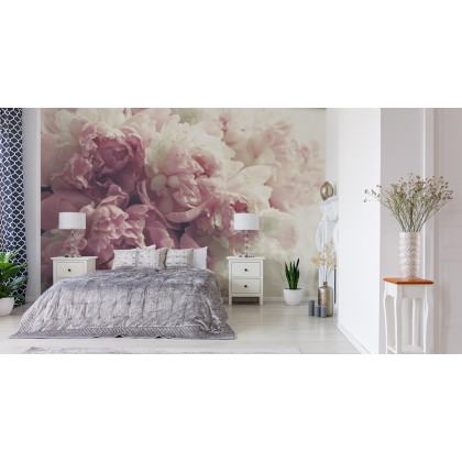 Fototapeta Kwitnące Peonie
