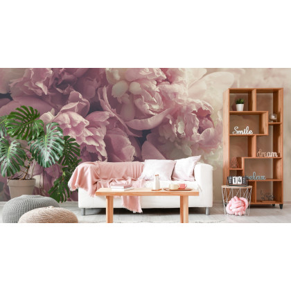 Fototapeta Kwitnące Peonie