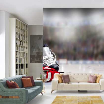 Fototapeta Zestaw Hokeisty