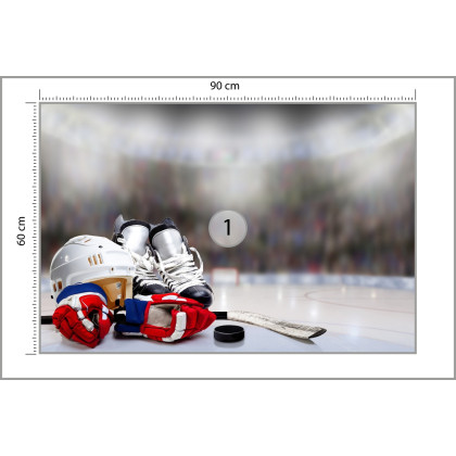 Fototapeta Zestaw Hokeisty