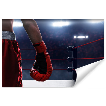 Fototapeta Bokser W Ringu