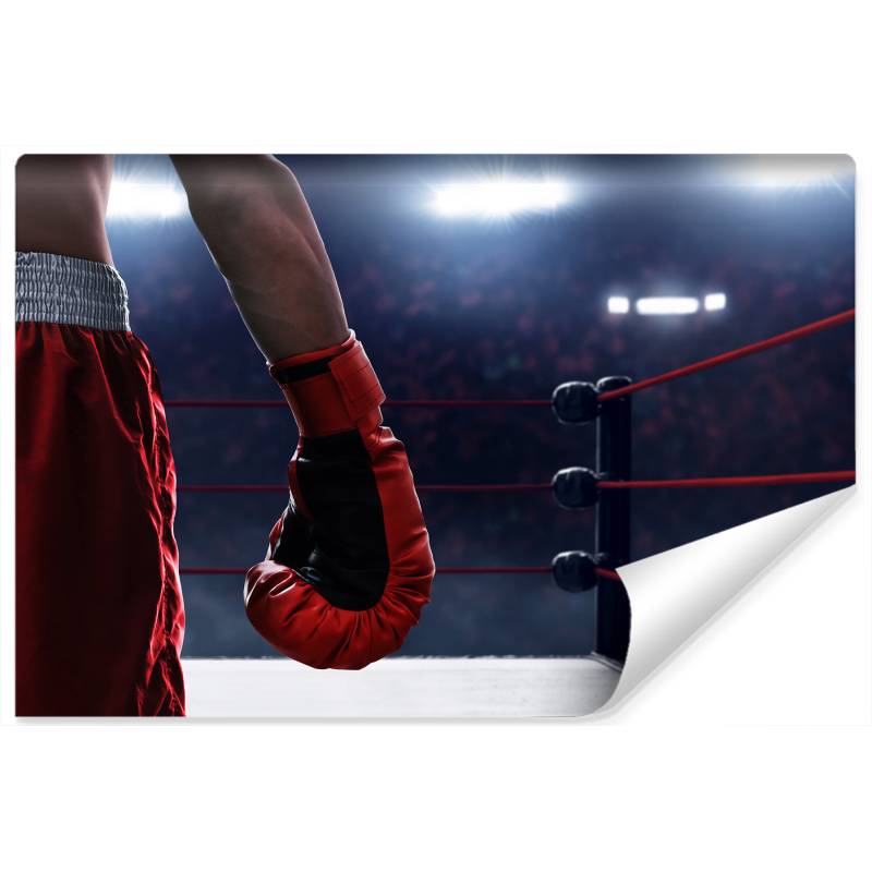 Fototapeta Bokser W Ringu