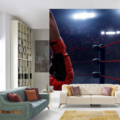 Fototapeta Bokser W Ringu